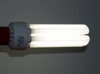 75-Watt-Energiespar-Fotolampe