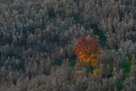 Toskana, Jean-Pierre Ritler, retuschiert.