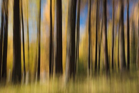 Leserfoto: Klick für Vollansicht (© Dietmar Käppeli).