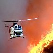 24 Stunden: Blattfall und Flächenbrand