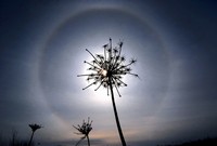 Hohe, dünne Eiswolken verursachen durch Brechung des Sonnenlichts einen Halo in Watertown, Wis. USA. (Keystone / AP Watertown Daily Times John Hart)