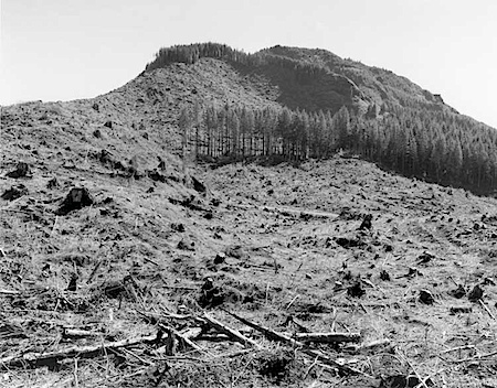 © Robert Adams: Clearcut, Humbug Mountain