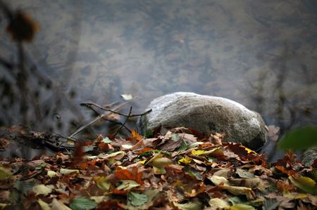 Leserfoto: Klick für Vollansicht (© Sabine Pankratz).