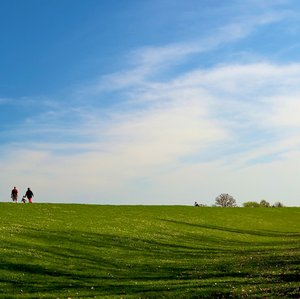 Deichspaziergang: Weniger ist mehr