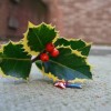 crappyxmas1-blog.jpg