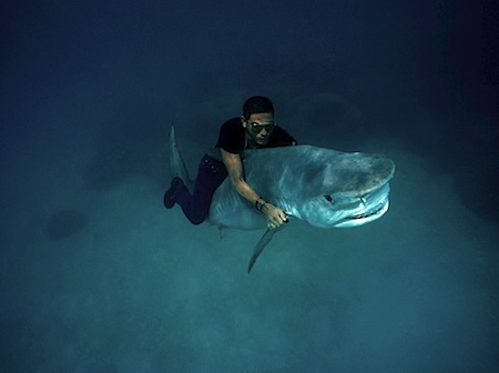 © Pierre Winther: Shark Riding