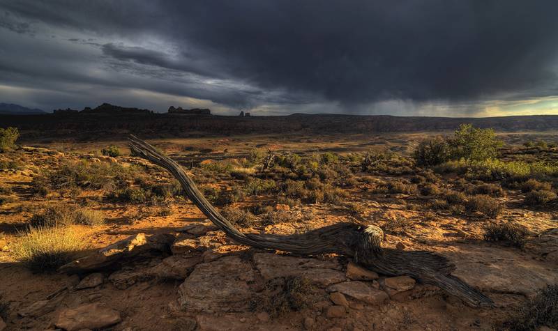 Landschaftsfoto mit Ast: Darf man eingreifen?