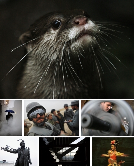 Klick für Legende und Vollansicht. (Bilder keystone)