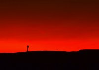 Das Bild mit neuer Komposition (hier durch Beschnitt)