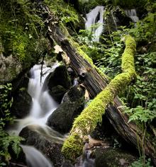Waldbach-Langzeitbelichtung: Fransen am Rand