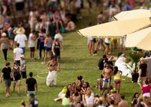 Tilt/Shift und Timelapse-Videos: Ameisen-Fotokunst