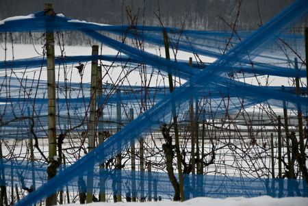 Rebnetzmuster: Mehr Abstraktion