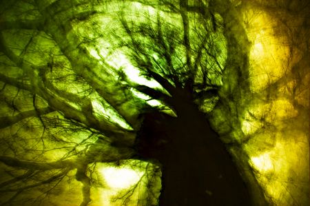 Bewegtexperiment: Inner Space
