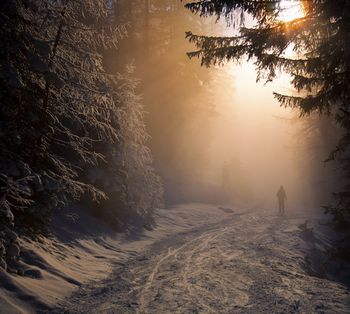 Landschaftsfotografie: Romantische Winterstimmung
