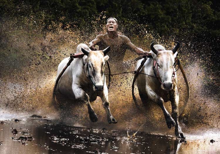 Sony World Photography Awards 2011: Die Fotografen des Jahres