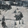 petroot1.jpg