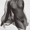 femaletorso.jpg