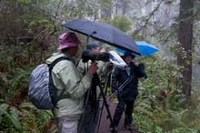 Regenfotografen in Nordkalifornien...
