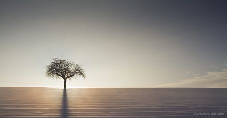 Minimalistisches Landschaftsfoto: Reduktion verlangt Perfektion