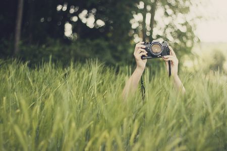 Konzeptfoto: Blickfang im Feld