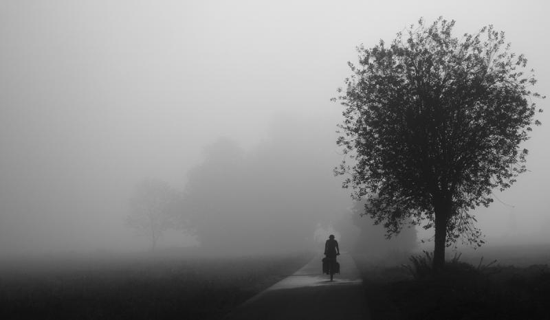 Foto des Monats: Neblige Stimmung