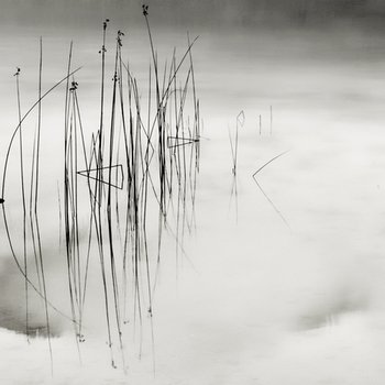 Natur in Abstraktion: Einfach gespiegelt