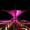 Architectural_Frank_Meyl