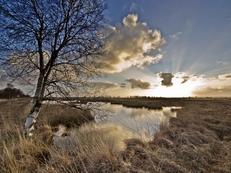 Landschaftsfoto: Stimmung?