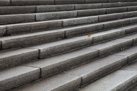 Suchbild auf Steintreppe: Finde das Blatt!