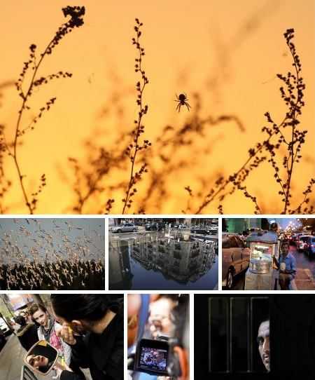 Klick für Legende und Vollansicht. (Bilder keystone)