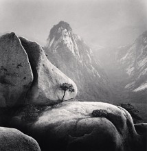 Huangshan Mountains, Study 27, Anhui, China, 2009 *