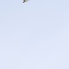Freestyle Ski-WM in Voss, Norwegen (Keystone/AP Photo/Hakon Mosvold Larsen, NTB Scanpix)