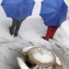 Schneefall in Trento, USA (Keystone/AP Photo/Mel Evans)