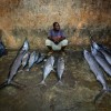 Ein Fischhändler im Mogadischu, Somalia EPA/STUART PRICE / AU-UN IST