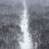 Der Berliner Tiergarten im Schnee  (AP Photo/Markus Schreiber)