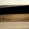 Sanddünen vor Schiemonnikoog, Niederlande (Keystone/EPA/Remko van Waal)