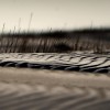 Sanddünen vor Schiemonnikoog, Niederlande (Keystone/EPA/Remko van Waal)