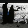 Vögel füttern im Hyde Park, London (AP Photo/Alastair Grant)