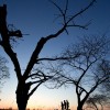 Jogger bei Sonnenaufgang in Hamburg, Deutschland (Keystone/AP Photo/dpa, Christian Charisius)