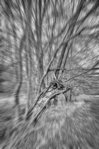 Radialer Weichzeichner, strahlenförmig