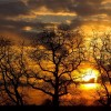 Sonnenuntergang in Sieversdorf, Brandenburg Deutschland EPA/PATRICK PLEUL