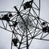 Arbeiten an einem Strommasten in Kummer, Deutschland (Keystone/AP Photo/dpa, Jens Büttner)