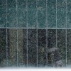 Schneesturm in Ottawa, Kanada (Keystone/AP Photo/The Canadian Press, Sean Kilpatrick)