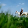 Austritt im Frühling von Hiddestorf, Deutschland (Keystone/AP Photo/dpa, Julian Stratenschulte)