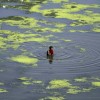 Erfrischendes Bad im Sabarmati in Ahmadabad, Indien (Keystone/AP Photo/Ajit Solanki)