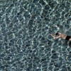 Ein Schwimmer, Thailand EPA/BARBARA WALTON