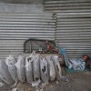 Schläfer an einem heißen Tag, Neu Delhi, Indien (AP Photo/ Saurabh Das)