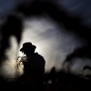 Ernte zum Shavuot Fest in Mevo Horon, Israel (Keystone/AP Photo/Ariel Schalit)