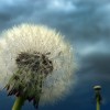 Dunkle Wolken über Kerpen, Deutschland (Keystone/EPA/Federico Gambarini)