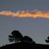 Australische Landschaft, Nationales Arboretum, Canberra EPA/LUKAS COCH